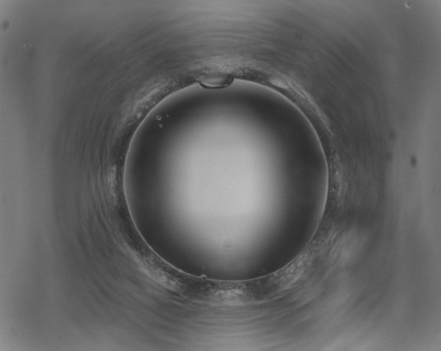 X0000069810066200605191056