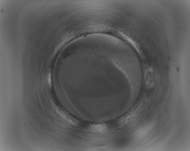 X0000069810067200605191056