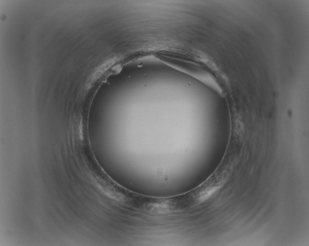 X0000069810068200605191056