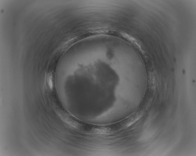 X0000069810069200605191056