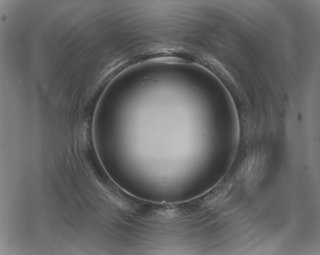 X0000069810071200605191056