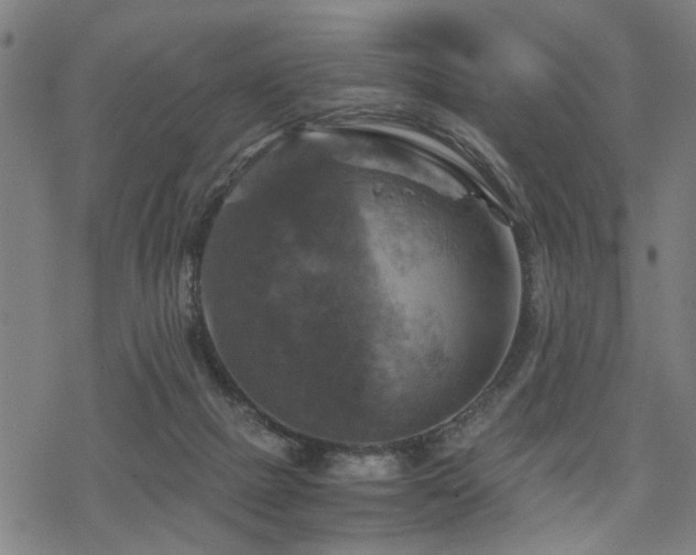 X0000069810073200605191056