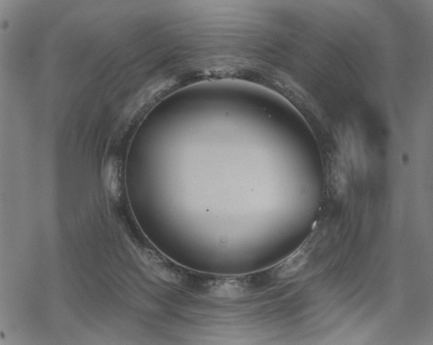 X0000069810074200605191056