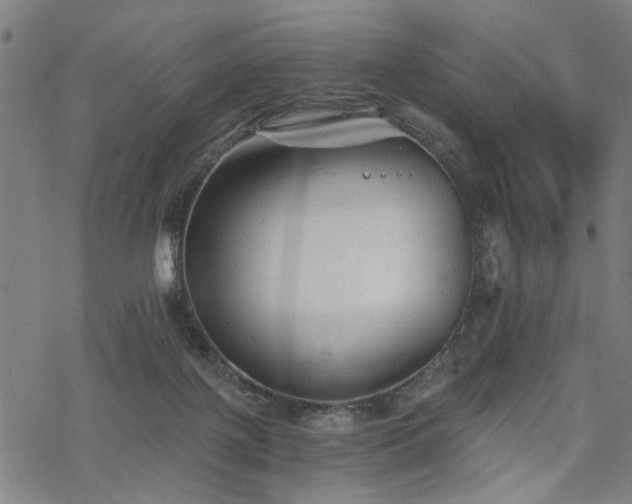 X0000069810075200605191056