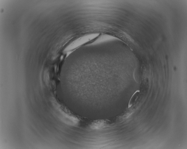 X0000069810076200605191056