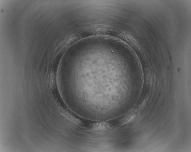 X0000069810077200605191056