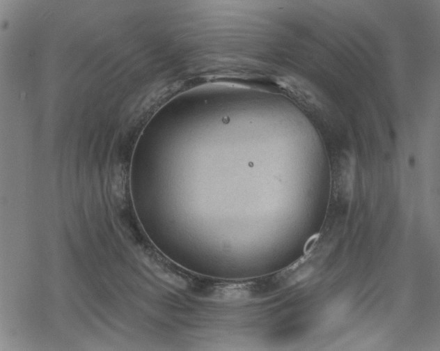 X0000069810078200605191056