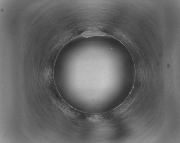 X0000069810079200605191056