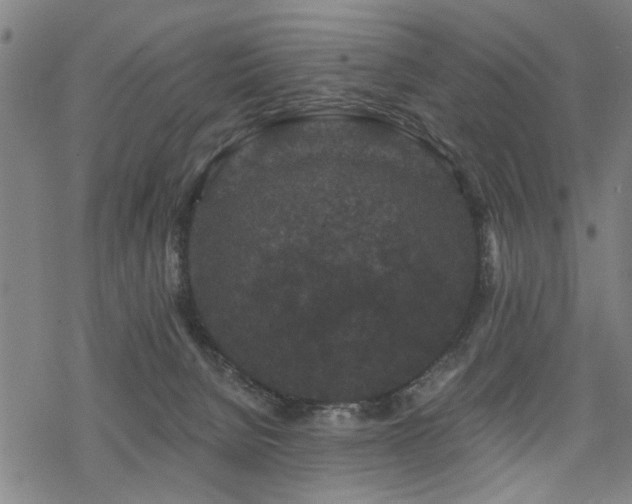 X0000069810080200605191056