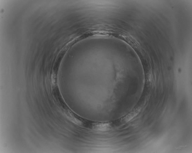 X0000069810081200605191056