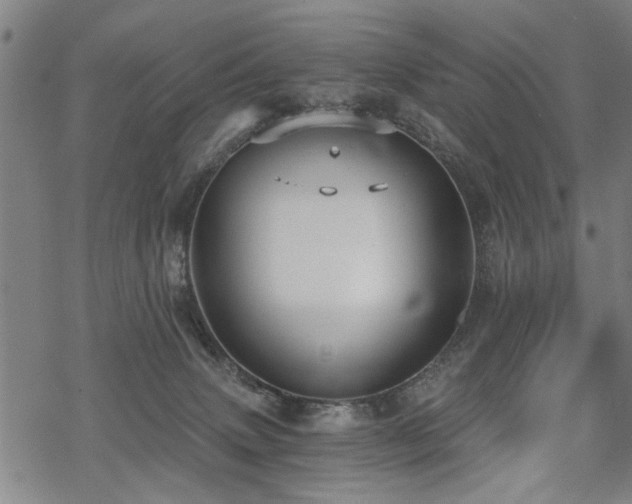 X0000069810083200605191056