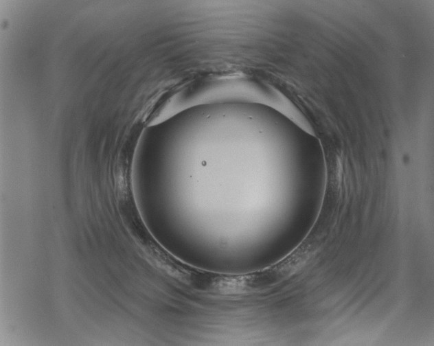 X0000069810084200605191056