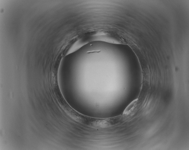 X0000069810086200605191056