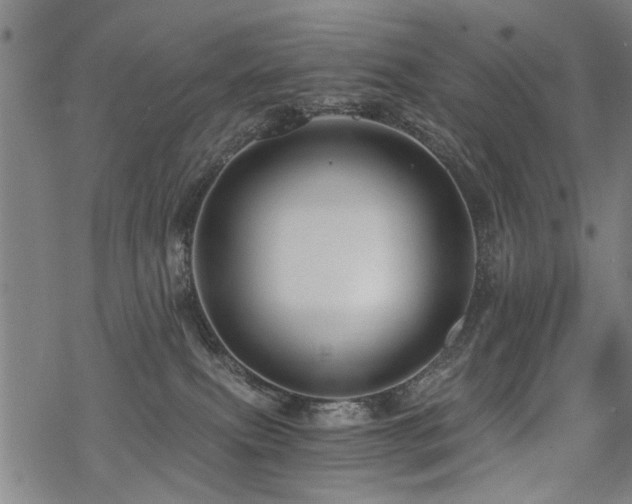 X0000069810087200605191056