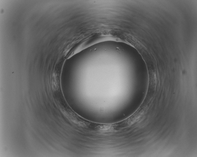 X0000069810088200605191056