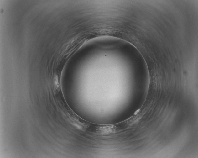 X0000069810089200605191056