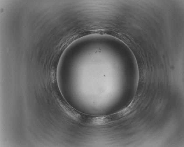 X0000069810090200605191056