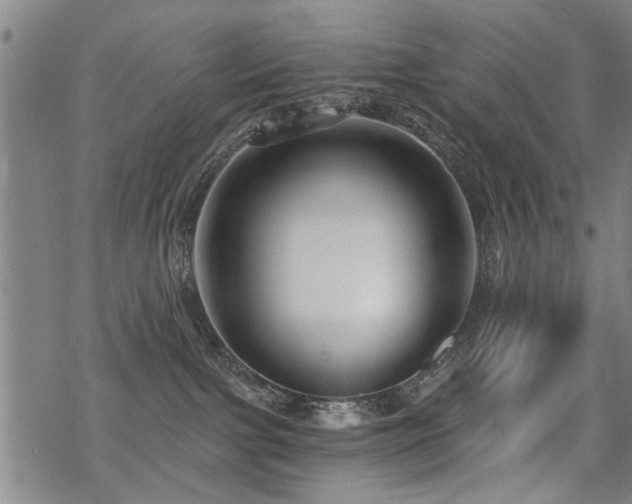 X0000069810091200605191056