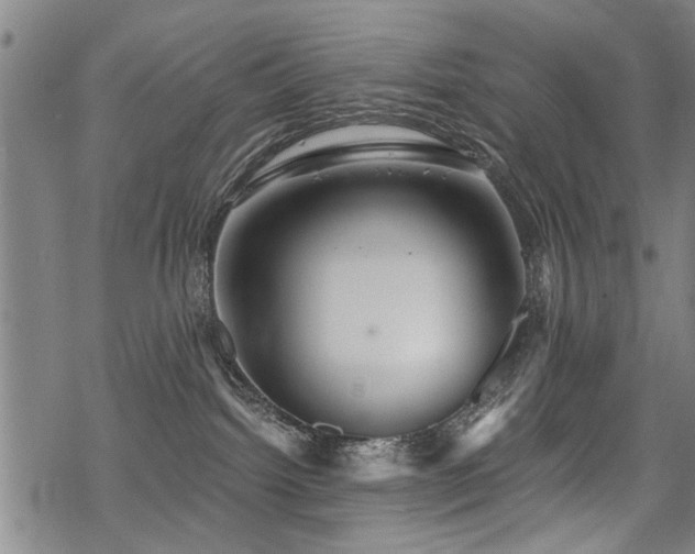 X0000069810092200605191056