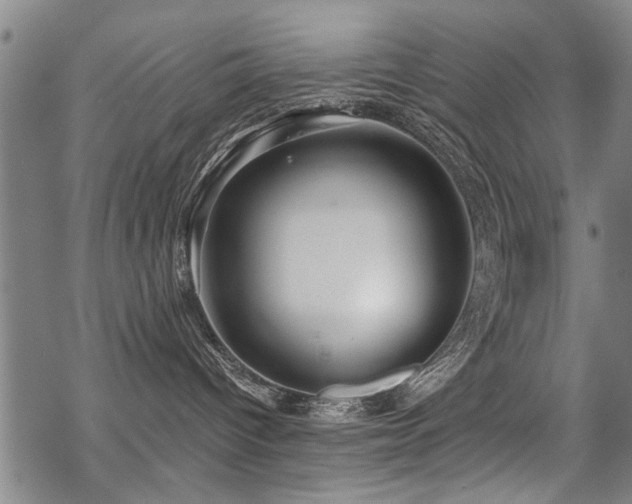 X0000069810096200605191056