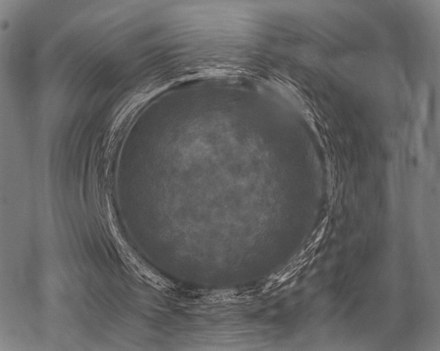 X0000069810097200605191056