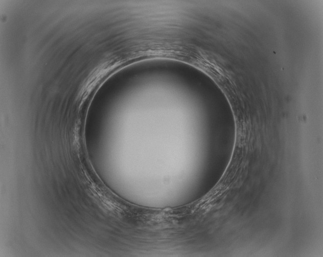 X0000069810098200605191056