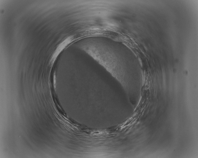 X0000069810099200605191056