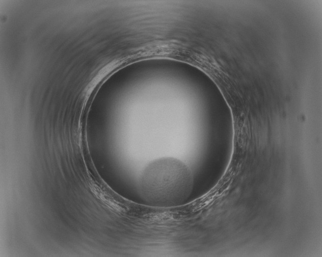 X0000069810100200605191056