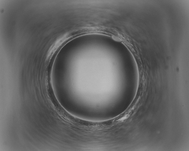 X0000069810103200605191056