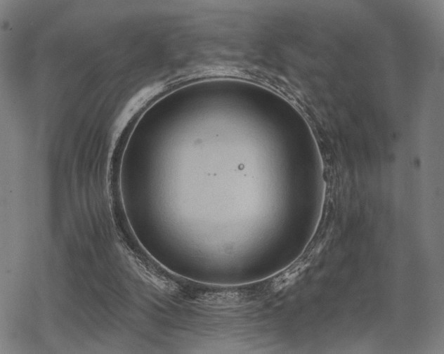 X0000069810104200605191055