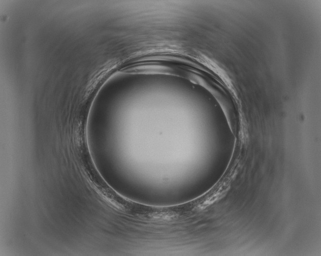 X0000069810105200605191055