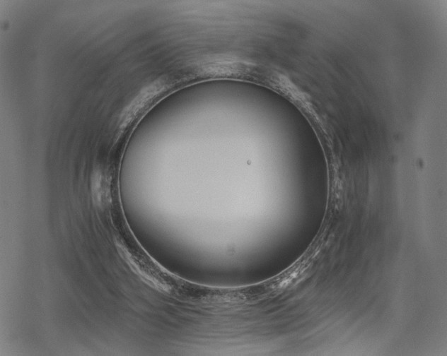 X0000069810106200605191055