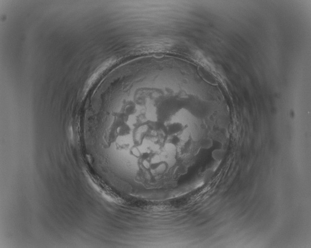 X0000069810107200605191055