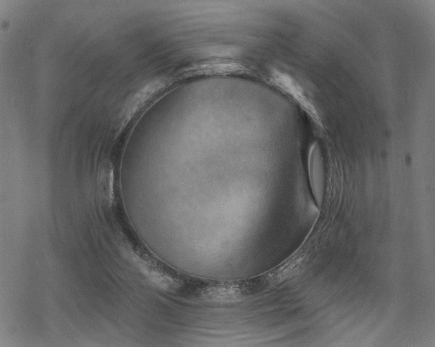 X0000069810110200605191055