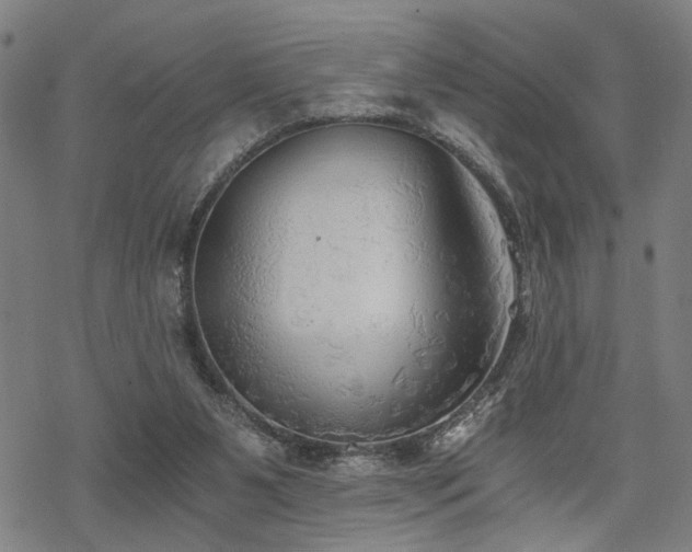 X0000069810111200605191055