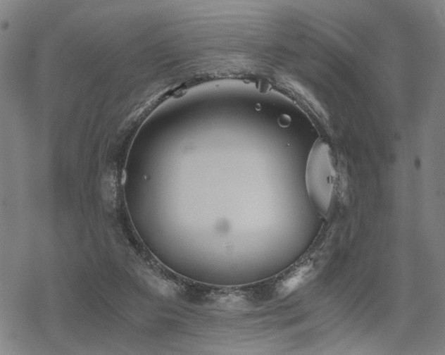 X0000069810113200605191055