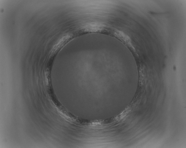 X0000069810114200605191055