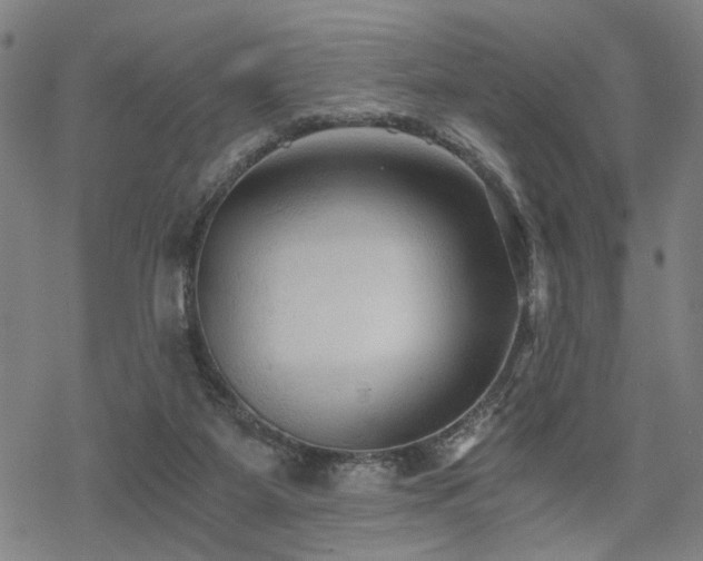 X0000069810115200605191055