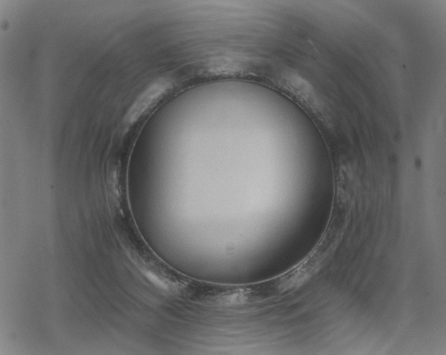 X0000069810116200605191055