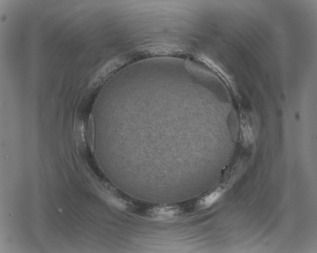 X0000069810117200605191055