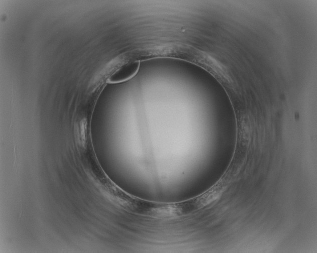 X0000069810118200605191055