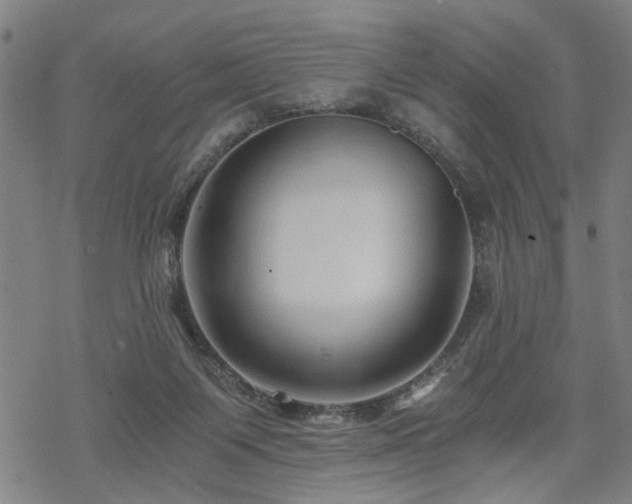 X0000069810119200605191055