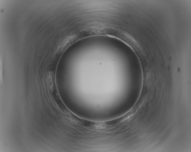 X0000069810121200605191055