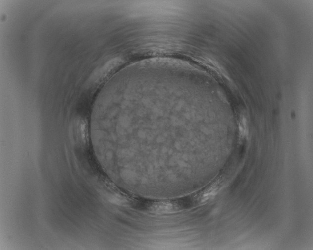 X0000069810123200605191055