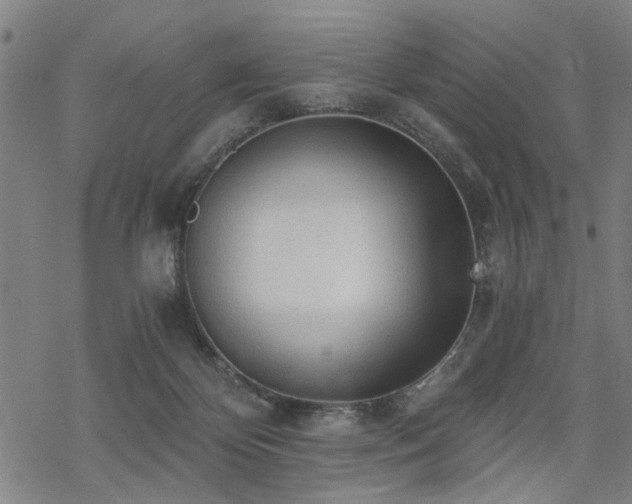 X0000069810124200605191055