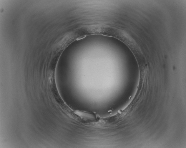 X0000069810125200605191055