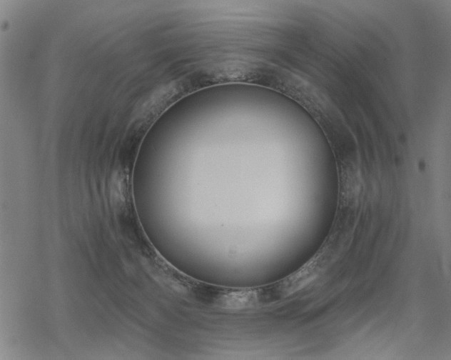 X0000069810126200605191055