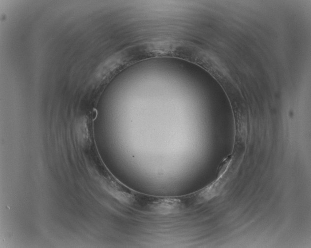 X0000069810128200605191055