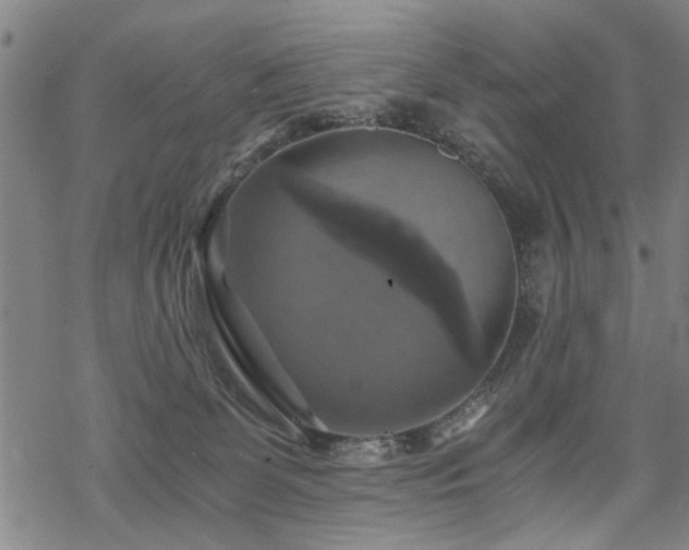 X0000069810131200605191055