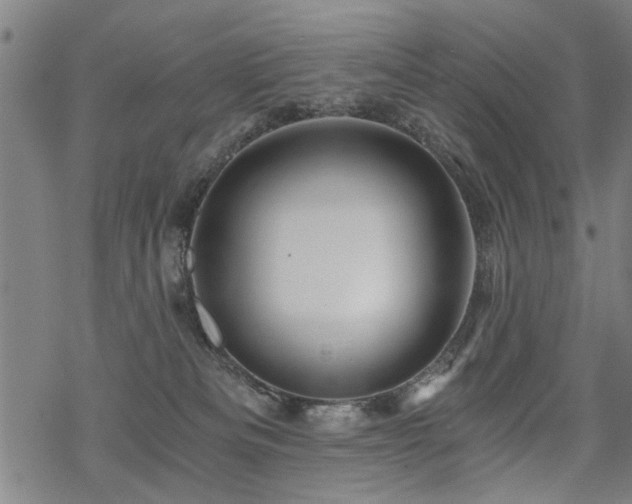 X0000069810133200605191055